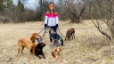 Tierreporterin Anna geht mit Hunden spazieren | Bild: BR / Text und Bild Medienproduktion GmbH & Co. KG