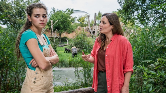 Tierärztin Dr. Mertens - Folge 93: Unter Druck (s08/e09)