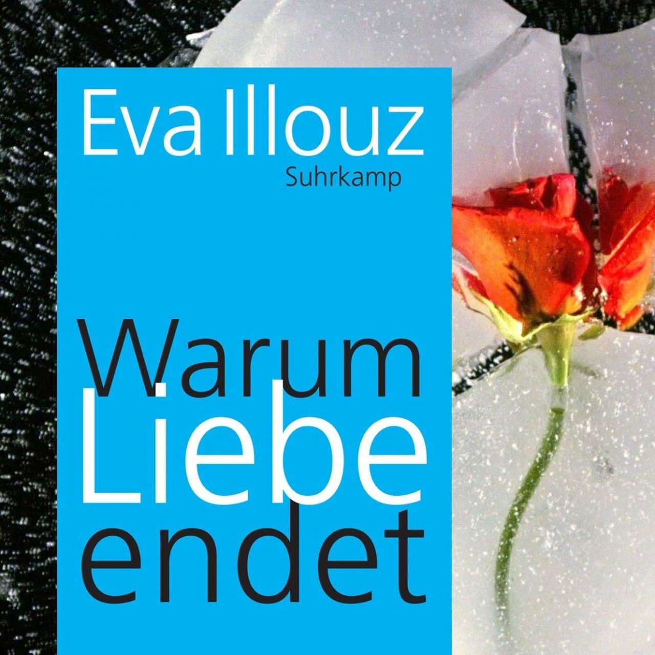 Büchermarkt Deutschlandfunk · Eva Illouz "Warum Liebe endet" Wenn