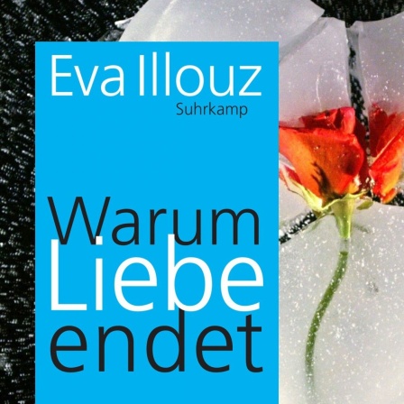 Cover von Eva Illouz Buch "Warum Liebe endet". Im Hintergrund ist ein zerbrochenes Herz mit Rose.