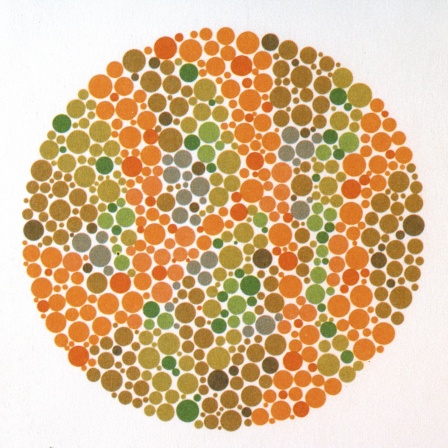 Ishihara-Farbtafel für Farbsehtests: Ob Menschen Dinge gleich wahrnehmen, weiß man nicht. Es ist sogar wahrscheinlich, dass Menschen Dinge tatsächlich unterschiedlich wahrnehmen, auch Farben.