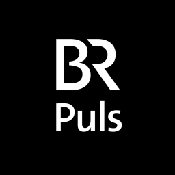 BR puls Logo 16:9