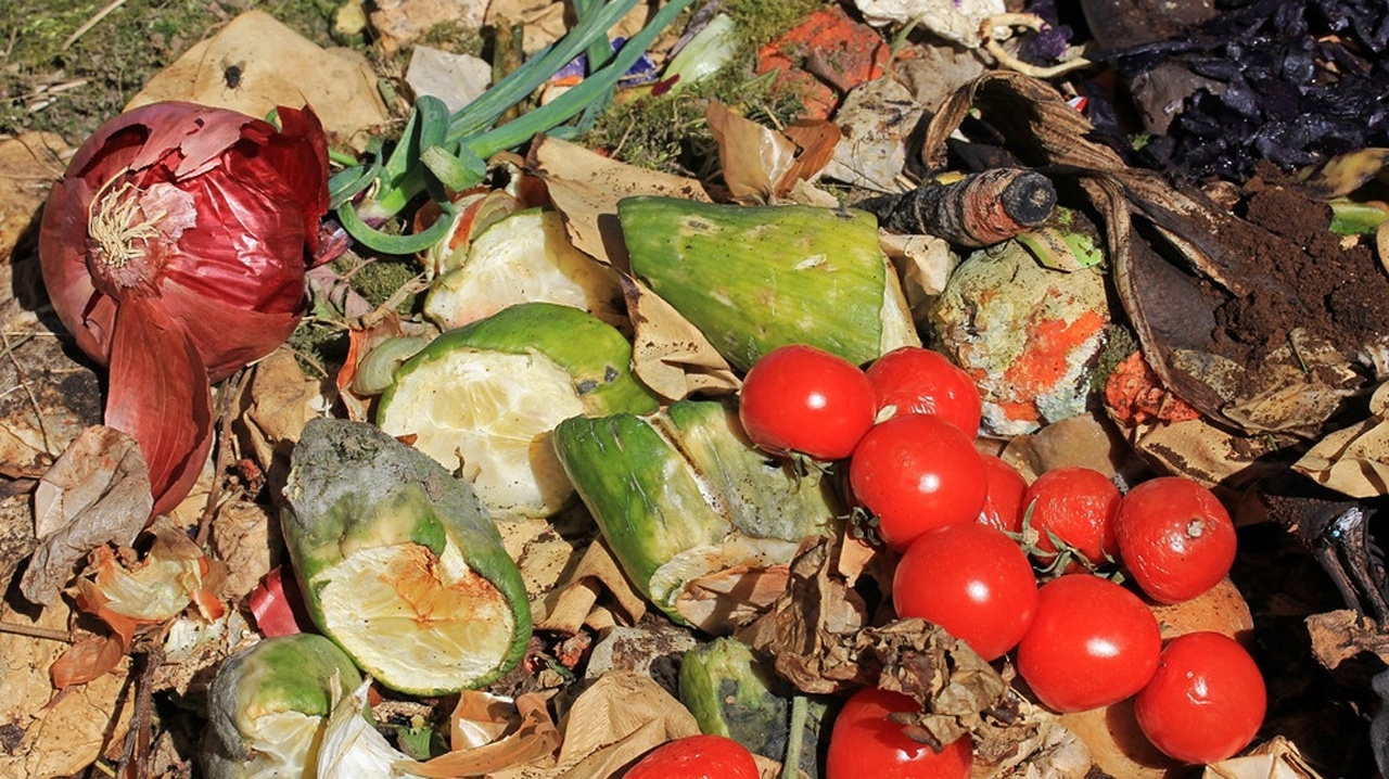 Politik für die Tonne: Wie weniger Lebensmittel im Müll landen müssten