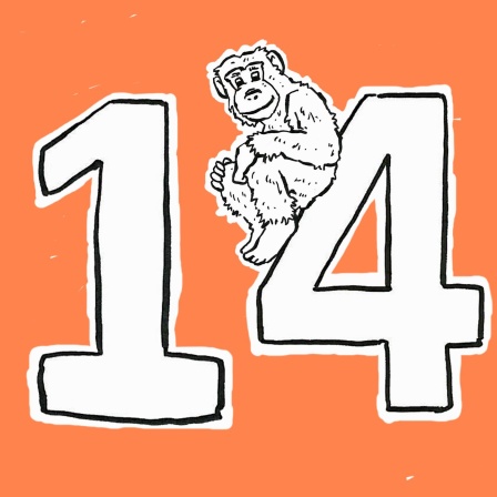14.12.2000: Affentag - der internationale Monkey Day