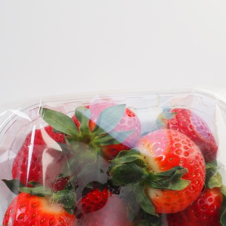 Erdbeeren in Plastikverpackung
