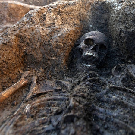 Ein menschliches Skelett an einem Ausgrabungsort.