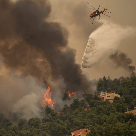 Ein Hubschrauber wirft in einem Waldgebiet nördlich von Athen Löschwasser ab.