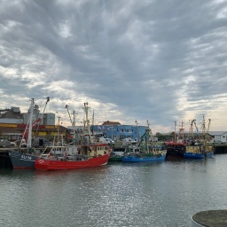 Blick auf den Fischereihafen von Büsum