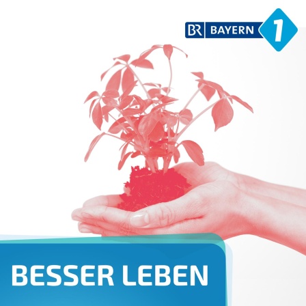 Bio Dünger: Welcher Biodünger ist gut?