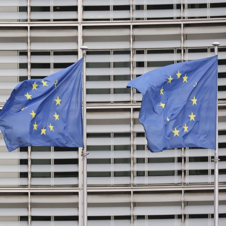 EU-Flaggen, Symbolbild