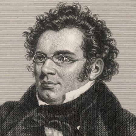 Porträt Franz Schubert, Stahlstich