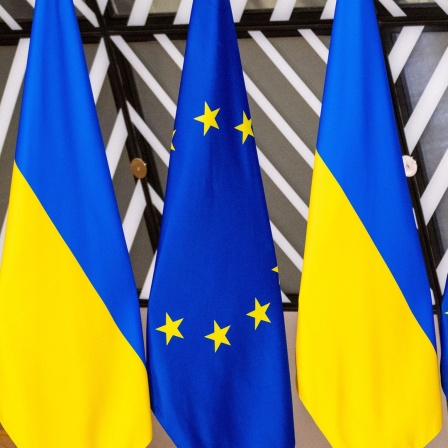 Ukrainische und europäische Flaggen in einer Reihe 