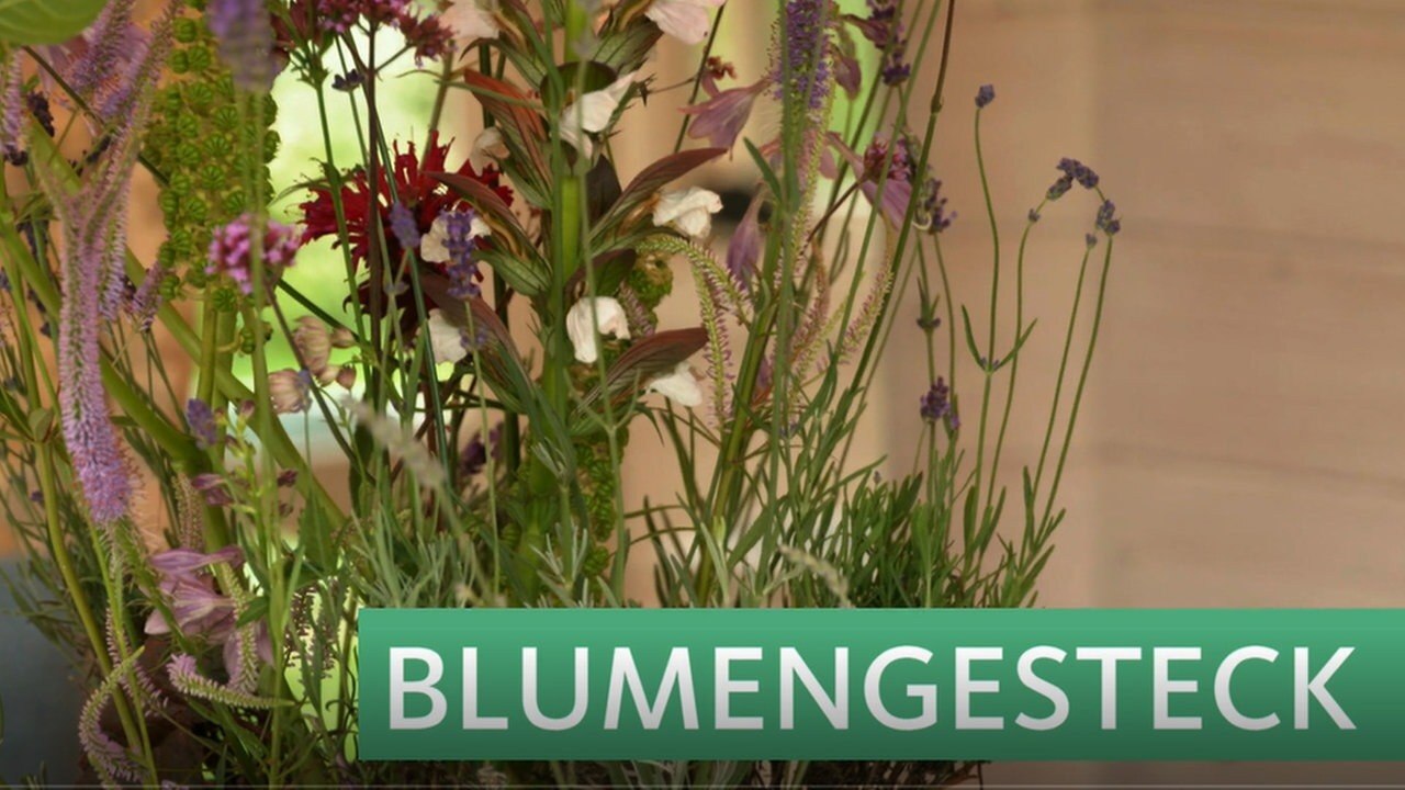 Garten & Lecker Björns Tipp Blumengesteck ARD Mediathek