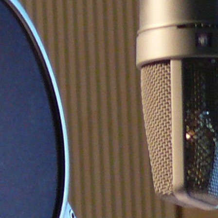 Mikrofon mit sogenanntem Popp-Filter im NDR Hörfunkstudio