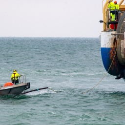 Kommunikationskabel in Meeren über hunderte Kilometer zu verlegen ist ein großer Aufwand. Warum ein Unterseekabel in der Ostsee zerstört wurde, ist noch unklar.