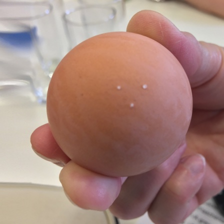 Eine Hand hält ein Ei mit drei kleinen Löchern