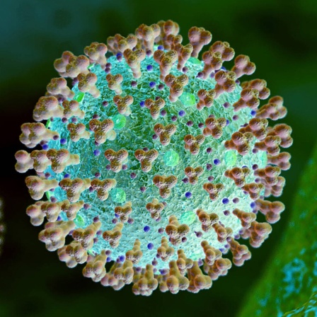 Computer-Illustration eines Coronavirus