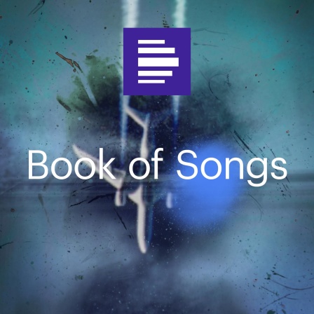 Das Podcast Cover Book of Songs zeigt ein verschwommenes Flugzeug auf blauem Hintergrund mit dem Senderlogo. 