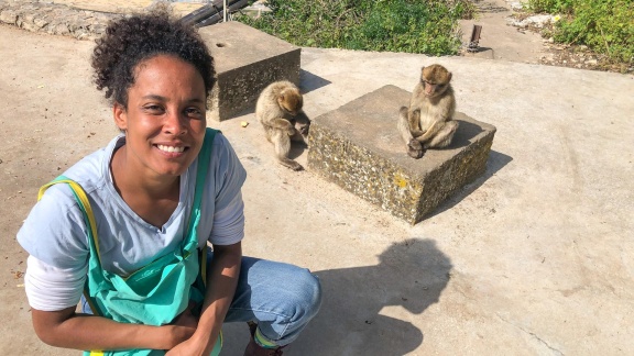 Anna, Paula, Pia Und Die Wilden Tiere - Die Affenbande Von Gibraltar