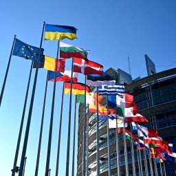 Flaggen der EU-Staaten und der Ukraine sowie die EU-Flagge wehen vor dem EU-Parlament in Straßburg. 