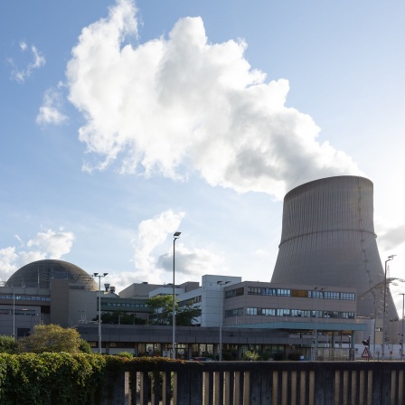 Blick auf das Kernkraftwerk Emsland (KKE) mit seinem Kühlturm.
