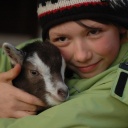 Ein Mädchen hält eine kleine Ziege im Arm.