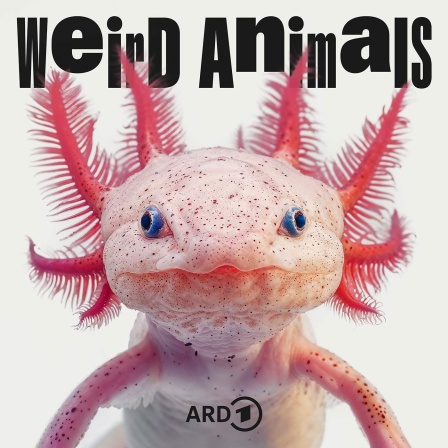 Weird Animals: Axolotl - Warum will er nie erwachsen werden?