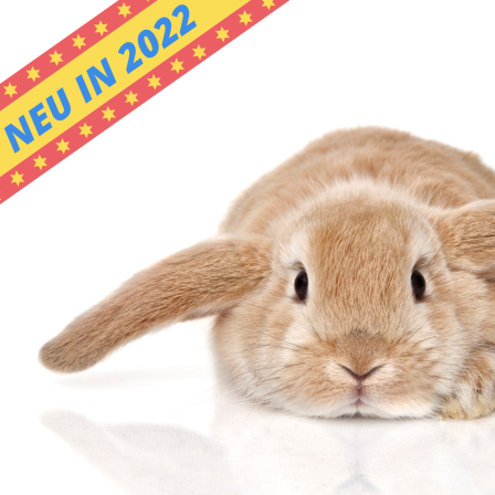 Figarino Osterhase