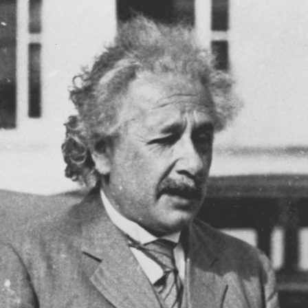 Albert Einstein - Porträt eines Genies