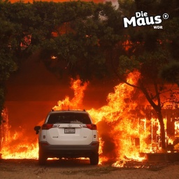 Ein weißes Auto steht vor einem Hintergrund aus Bäumen, die in einem intensiven Feuer brennen, mit Flammen, die den gesamten Bereich hinter dem Fahrzeug einnehmen; oben rechts ist das Logo mit dem Titel "Die Maus" sichtbar.