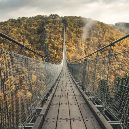 Gambach: Hängebrücke im Herbst (Bild: imago images/Photocase)