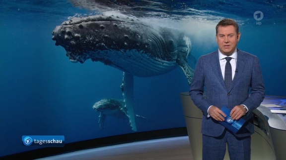 Tagesschau - Tagesschau, 20:00 Uhr