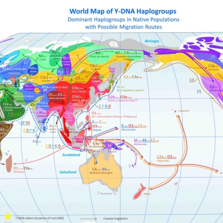 Weltkarte von Y-DNA-Haplogruppen