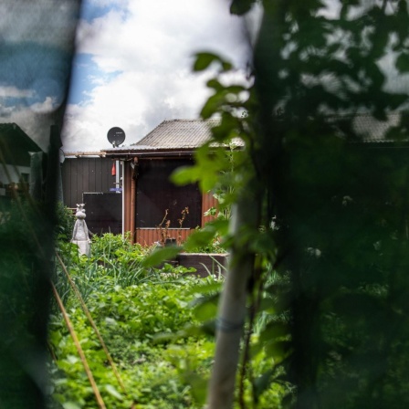 Ein Gartenkoloniehaus ist nach der Verhaftung von 11 Personen in einem pädophilen Fall am 7. Juni 2020 in Münster zu sehen. 