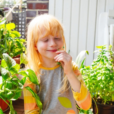 Ein grinsendes Mädchen freut sich auf die Ernte auf dem Balkon.