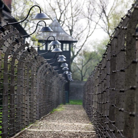Eine SIchtachse zwischen Zäunen gibt den Blick frei auf ehemalige Baracken und Wege im Nazi-Vernichtungslager Auschwitz-Birkenau an einem Herbsttag 2004. 
