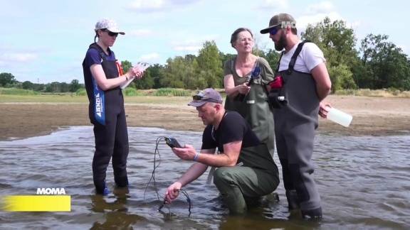 Morgenmagazin - Moma-reporter: Ein Jahr Nach Dem Fischsterben In Der Oder