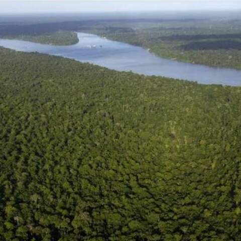 Amazonas