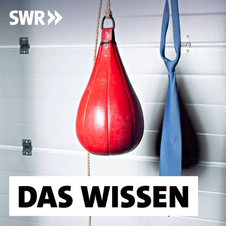 Die Klinische Psychologie untersucht, wie es gelingt, Emotionen zu steuern.