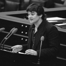 Joschka Fischer von den Grünen spricht 1984 im Bundestag