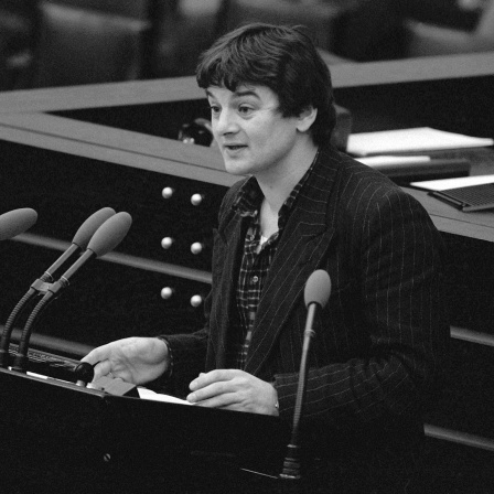 Joschka Fischer von den Grünen spricht 1984 im Bundestag