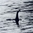 Ein Foto, das angeblich das Monster von Loch Ness zeigt.