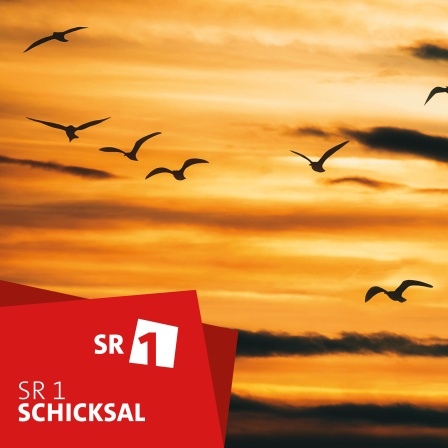 Schicksal - der SR1-Podcast über das Leben