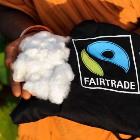 Indische Bäuerin hält Baumwolle und ein daraus produziertes Fairtrade T-Shirt mit der Aufschrift Fairtrade in die Kamera