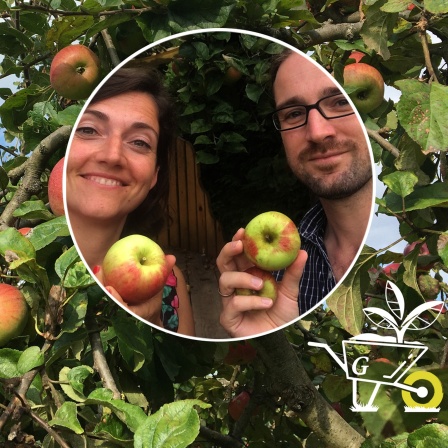  Podcast Äpfel ernten / lagern