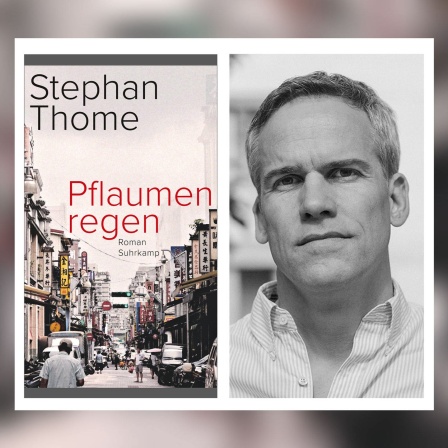 Stephan Thome - Pflaumenregen