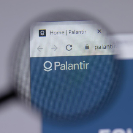 Eine Lupe vergrößert den Schriftzug "Palantir", der auf einer Website angezeigt wird.