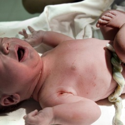 Ein neugeborenes Baby liegt auf einem weißen Tuch. Es schreit und die Nabelschnur hängt noch an seinem Bauch.