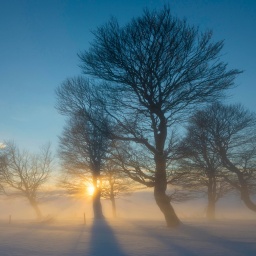 Sonnenuntergang im Winter.