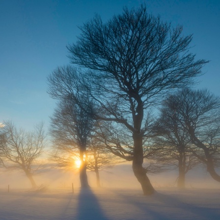 Sonnenuntergang im Winter.